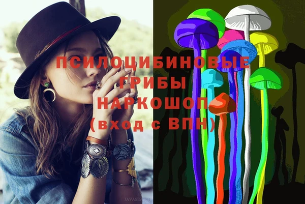 ешки Вяземский